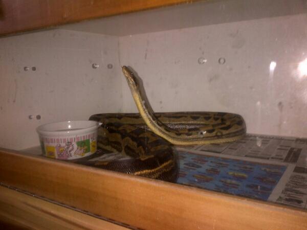 Sir Charles tweet media