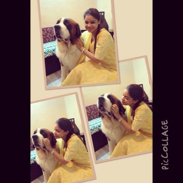 #play4paws show ur love n support to my n ur 4 legged BFF tinyurl.com/tigifoundation  pls RT