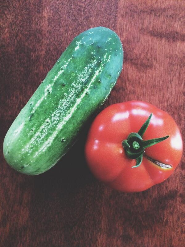 dleighjustice's tweet photo. First harvest of the season... http://t.co/gw9DrS3jjv