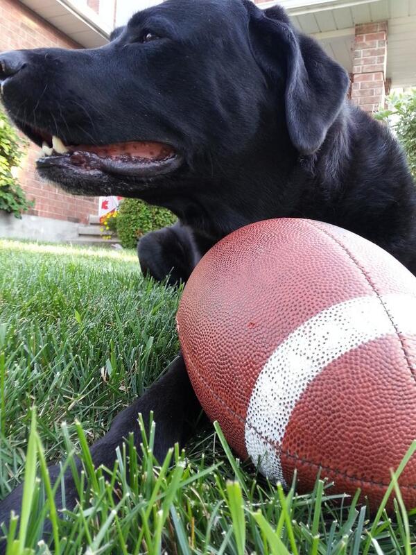 My ball