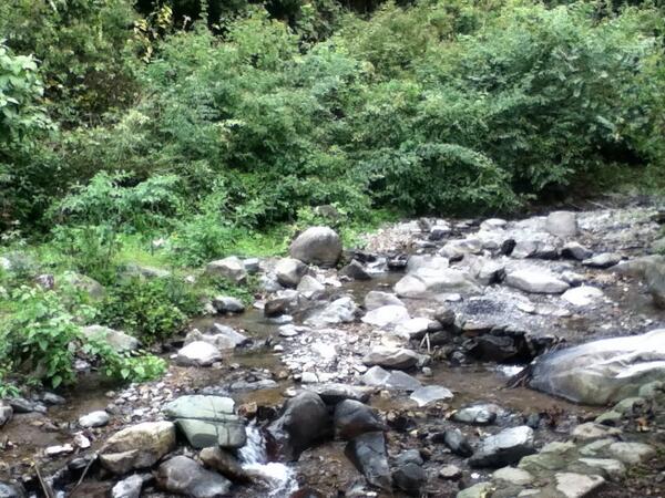 benigenti's tweet image. 