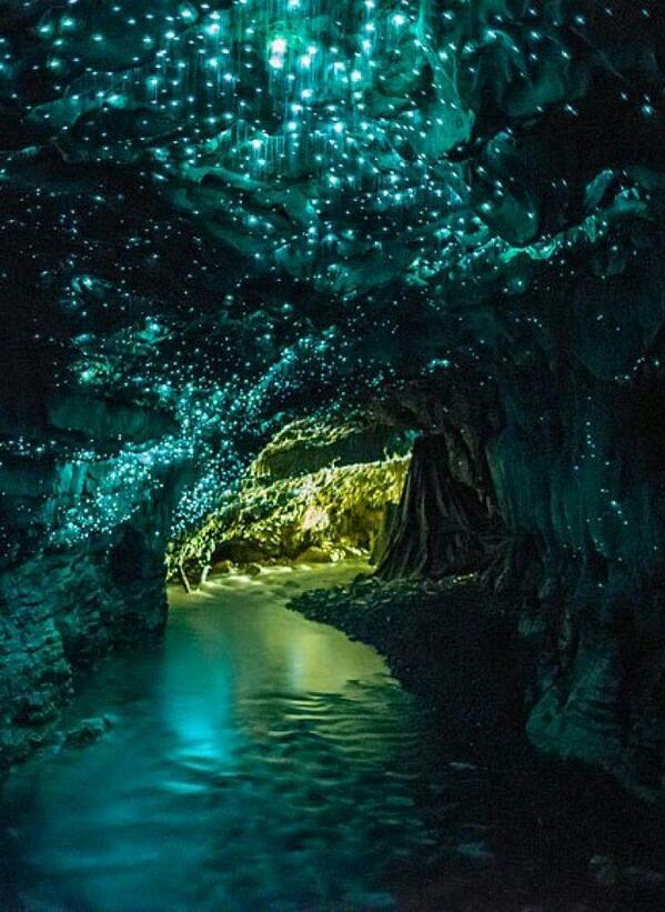 travellover21's tweet photo. Glow worm cave in New Zealand http://t.co/wc3725HnT5