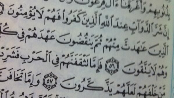n1432o's tweet photo. شر الدواب عند الله (الكافر ناقض العهد)،،،هل تطيق بعد ذلك موالاتهم؟ http://t.co/uuQmJnrug6