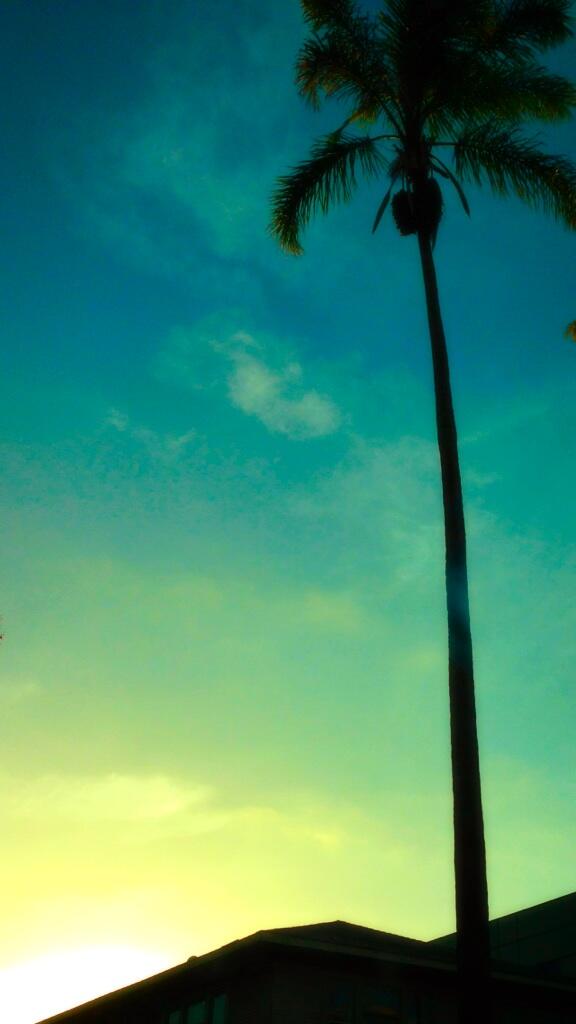 robertcochell tweet picture