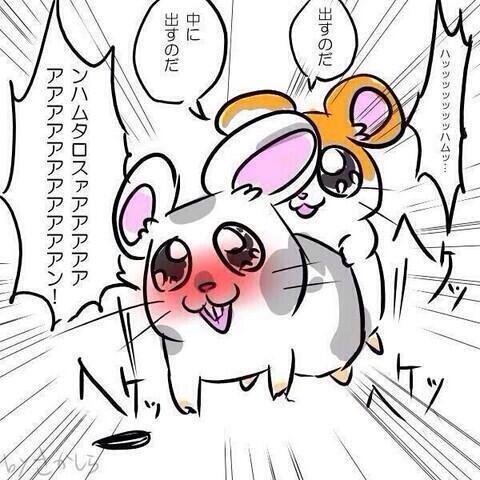 niconico_anime's tweet image. まどまぎ暴れ出した
これを例えるなら  #Madoka #or #dammed nicolines.net/z/2wTfq/