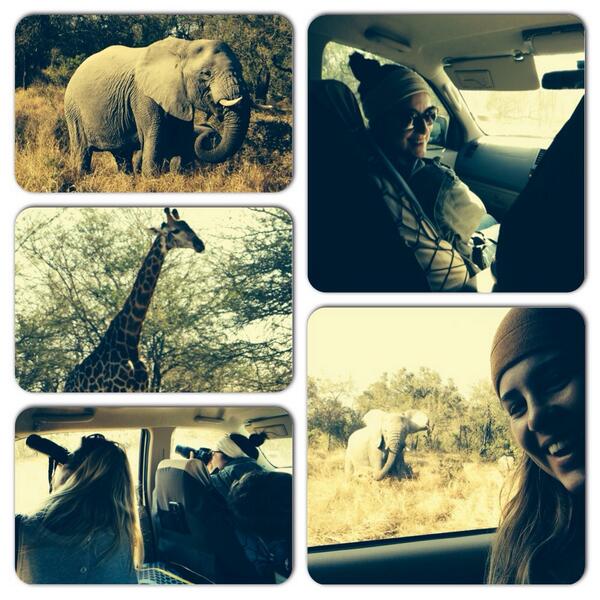 Blessed family holiday in the #Kruger #priceless