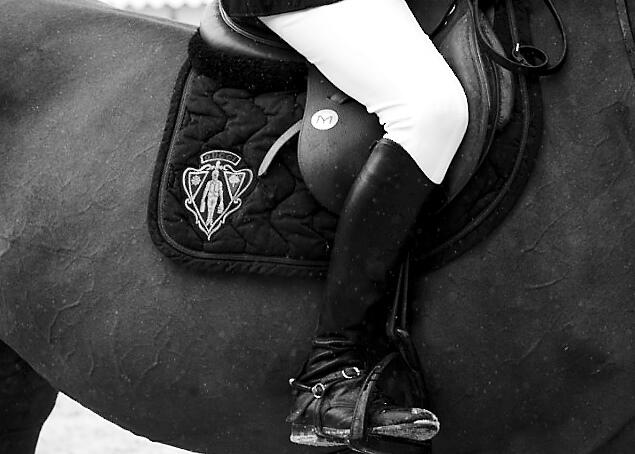 gucci on technical & the Gucci Equestrian collection. #getjumping #gucci #equestrians http://t.co/HsAjT74HVk http://t.co/qRDOfn5VwR" / Twitter