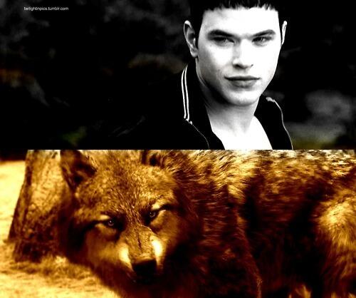 difaasepti's tweet photo. Emmett Cullen and Paul Lahone ♥ http://t.co/FgzFtgUk1Z