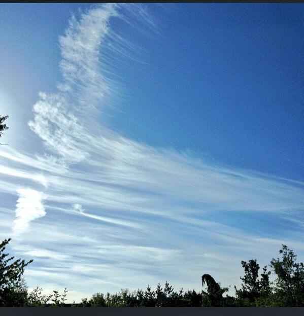 StarThings's tweet image. Does this look like a theory?? #chemtrails #Geoengineering