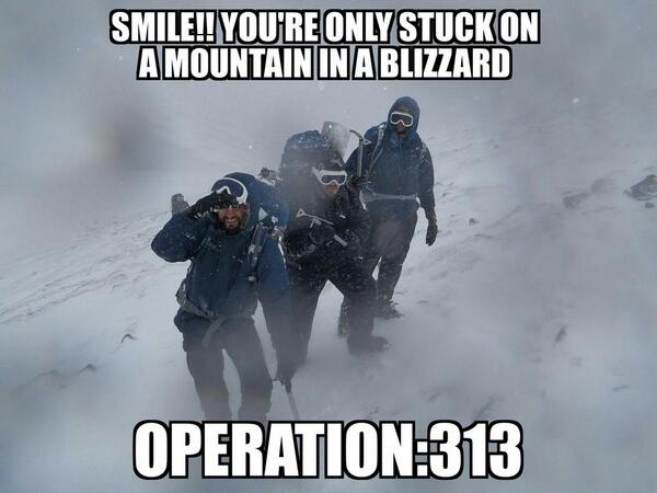 313operation tweet picture