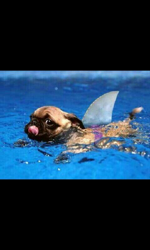 JenSoler's tweet image. Solo quedan dos días para estar así