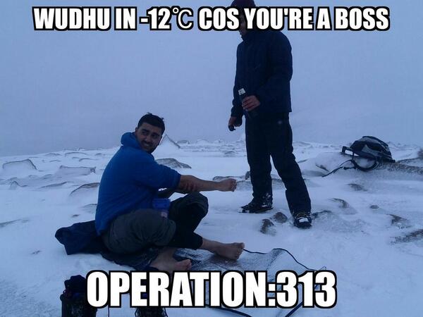 313operation tweet picture