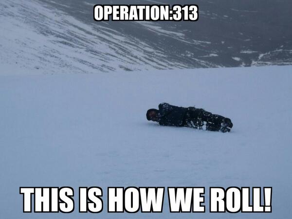 313operation tweet picture