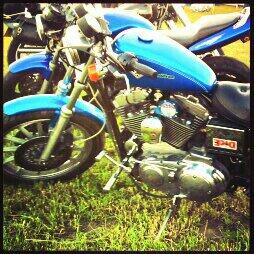 bindipowis's tweet image. 