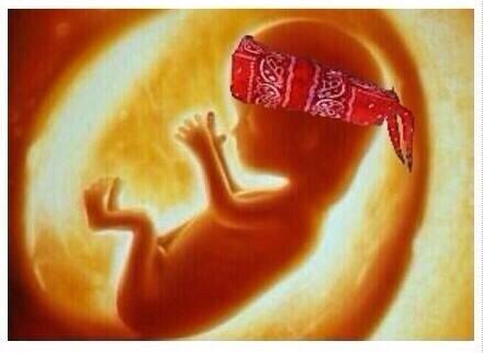 Enlace permanente de imagen incrustada