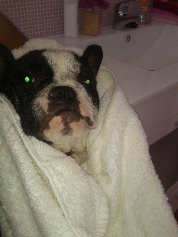 emarp16's tweet photo. Bañito relajante con hidromasaje http://t.co/UnTmCsjdf1