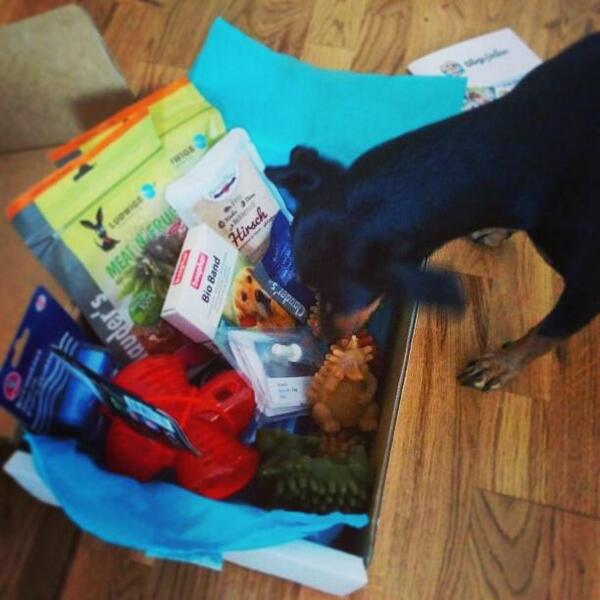 DogsUnion tweet picture