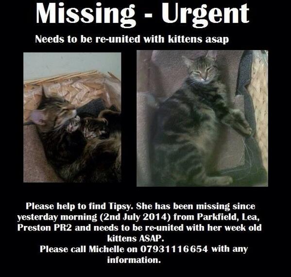 LoveCatJess's tweet image. Urgent!
Please RT. #Missing #cat in #Preston needs to be reunited with week old #kittens ASAP 
@petregister 
Thanks!