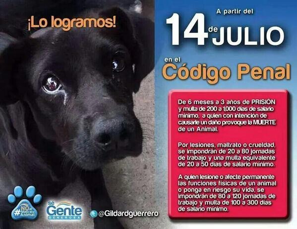 MejoresTwits's tweet image. POR FIN UNA LEY QUE MERECE LA PENA.