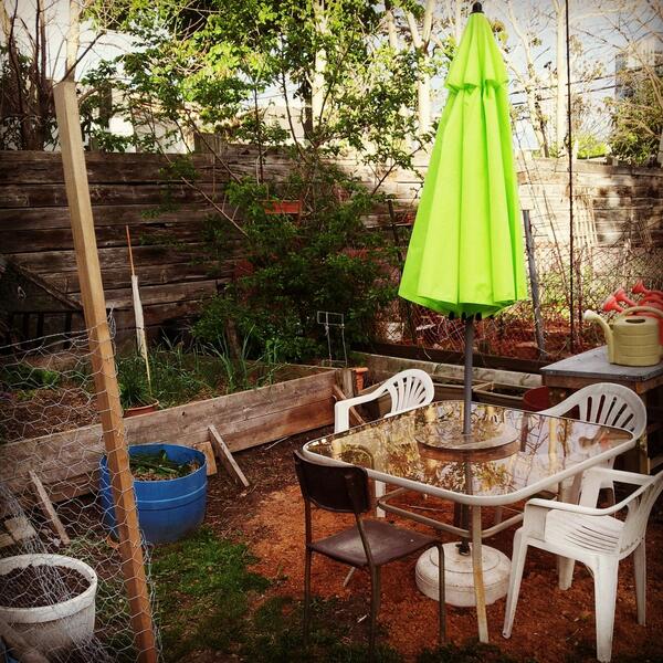 GarrisonGarden's tweet photo. The beauty that lies within #garrisoncommunitygarden walls http://t.co/p5FTPIEpIm