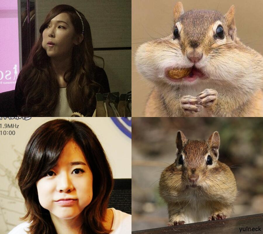 Br8NXlQCIAA1fMv.jpg:large