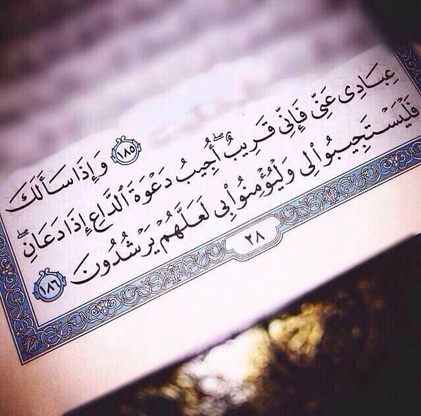 Bo_6a7no0on's tweet photo. نبحث عن السعاده .! وتحقيق الأحلام !

سنجد كل ما نُريد في هذه الأيه 
"وَإِذَا سَألَكَ عِبَادِي عَنِّي فإنِي قَريب" http://t.co/nLJPXuNc1F