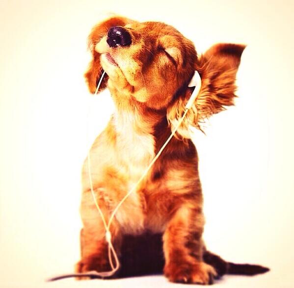 Mejor arrancar con musica! Buen dia para todoos