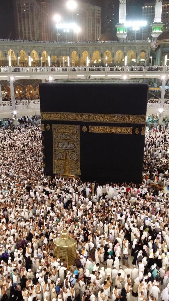 AL_7abib  Q8 tweet media