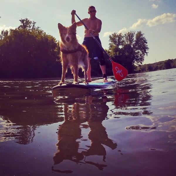 SUPwithPUP's tweet image. 2 handsome guys! #suppups #adventuredog #fuelthelove
