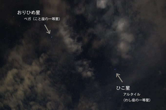 ひこ星のtwitterイラスト検索結果 古い順