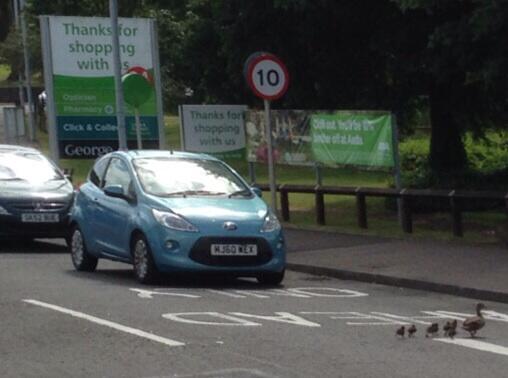 “<a href="/asda/">Asda</a>: How cute! ” be careful of the crazy traffic when you go see UJ!