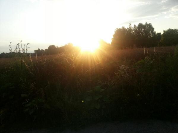 EhlertLine tweet picture