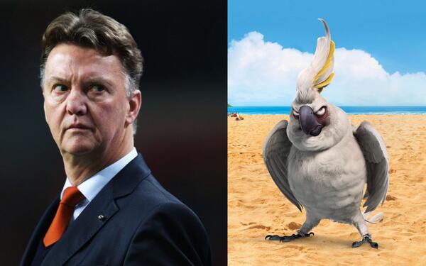 איתן כספי Separated At Birth Louis Van Gaal Dutch Team Manager Nigel A Bird From The Animated Movie Rio Http T Co E4ji2eu6m4 איתן כספי Separated At Birth Louis Van Gaal Dutch Team Manager Nigel A Bird From The Animated Movie Rio Http T Co E4ji2eu6m4