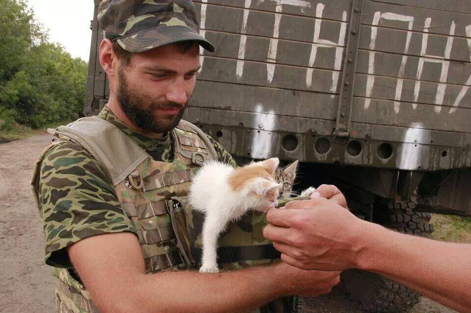https://pbs.twimg.com/media/Br9Czu4CIAAOL8d.jpg:large