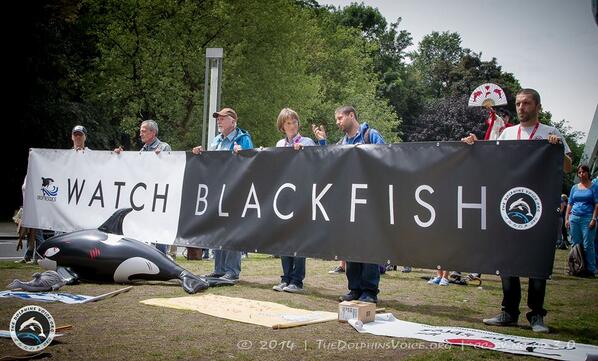 blackfishmovie's tweet photo. Shout it from the rooftops! #WatchBlackfish http://t.co/Y3RP4UU9t8
