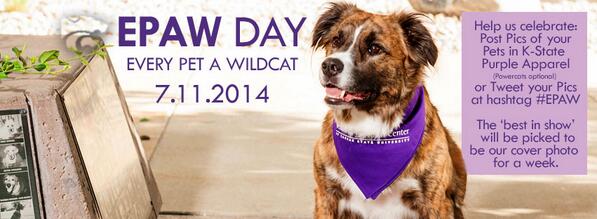 KSUCVM's tweet image. EPAW Day 7/11/14 - Every Pet A Wildcat - Tweet pet pics in @KState purple We'll choose one to be cover 4 a week #EPAW