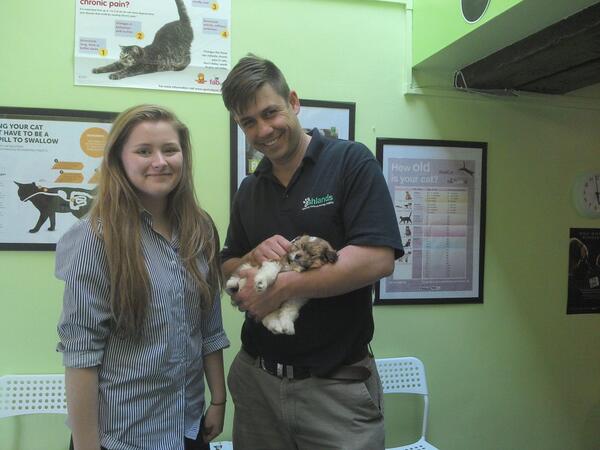 First puppy came to see us tonight at the new #Skipton surgery!