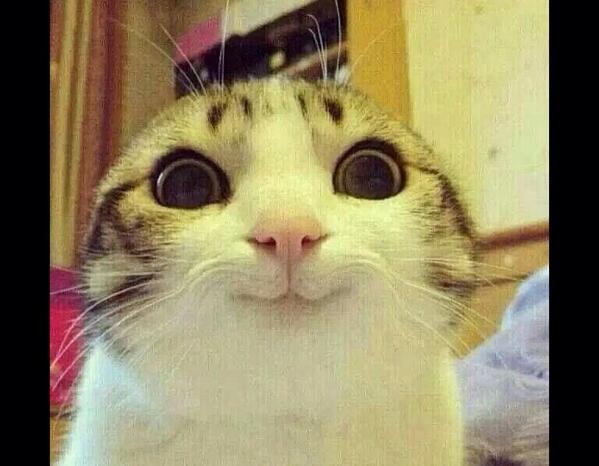 imhamwen's tweet photo. When your mam asks do you want KFC... http://t.co/Oce4elyNZ2
