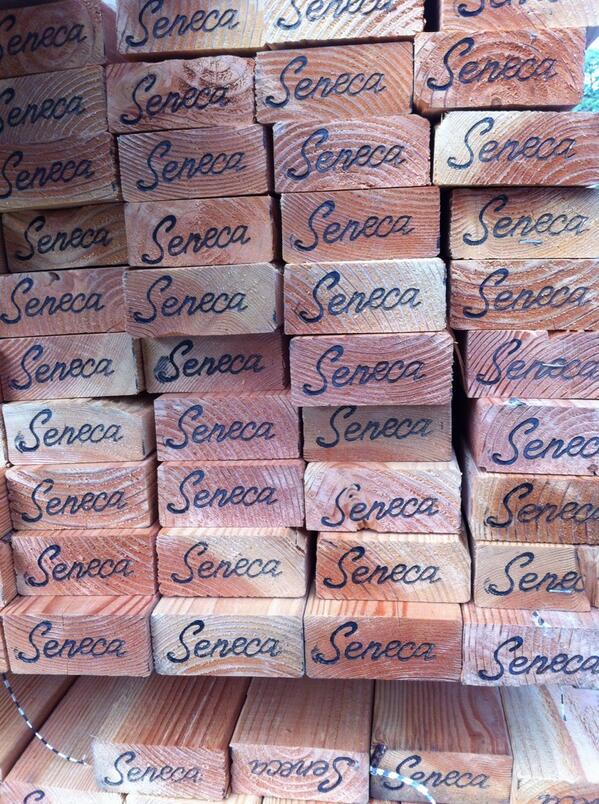 DanCapecchi's tweet photo. Nātūra minimum petit; nātūrae autem sē sapiēns accommodat. #seneca http://t.co/MgI4vEIBqL