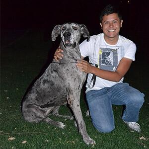 FcGENTE's tweet image. En el #MiércolesdeMascota les presentamos a Guillermo &amp;amp; Camila, una #GranDanés cariñosa, tranquila y leal.