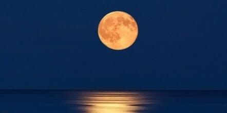 Moon Phases tweet media