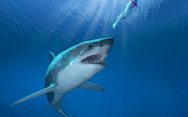 JOEdotie's tweet photo. Maths says you are more likely to be bitten by Luis Suarez than a shark http://t.co/f4pFnxF8OH http://t.co/NWR3FhpUcw
