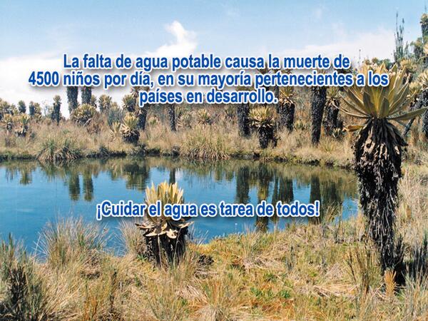 MinAmbienteCo's tweet photo. Cuidar el agua es tarea de todos #SoyAmbiente http://t.co/r6z04cccrj