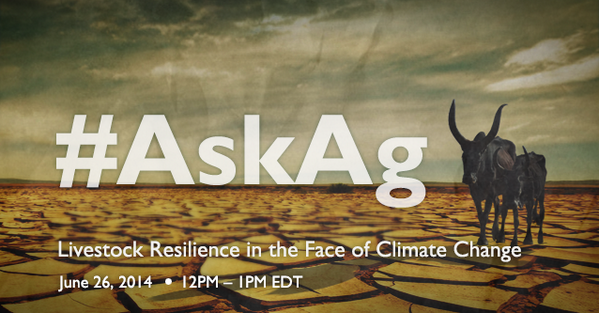 Agrilinks's tweet photo. Join us tomorrow, June 26, at 12:00 (GMT-4:00) to discuss #livestock resilience &amp; #climatechange. Use #AskAg hashtag! http://t.co/t6q8U1uILh
