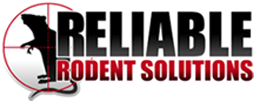 rodentsolutions tweet picture