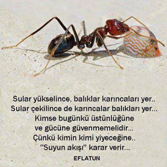 Her gün 1 Yeni Bilgi (@hergunyenibilg) on Twitter photo 