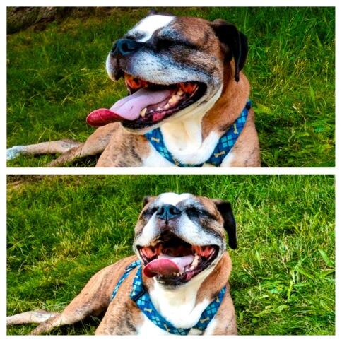 00Stephinitely's tweet photo. #smilesformiles😝 http://t.co/A0bSlh8aFy