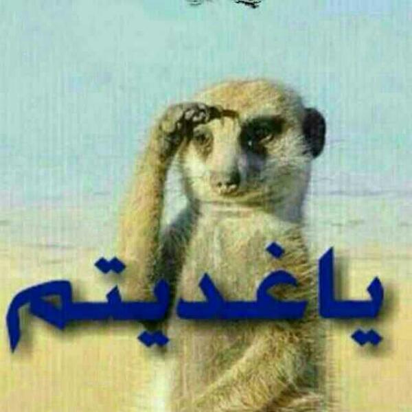 sgawe's tweet photo. http://t.co/1Ws2hrofSn