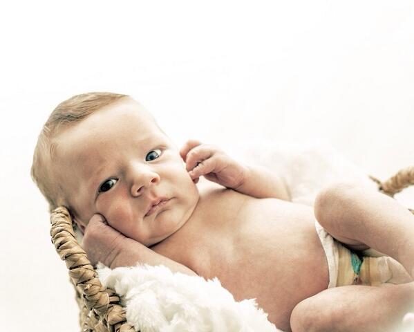 JohnOles's tweet image. Up late editing photos, but I'm very happy with what I see! #photography #zenfolio #cuteemergency