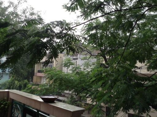 thekiranbedi's tweet image. Sharing the first rain of Delhi&apos;s Monsoon! Enjoy! Savan  Aaiyya!  Nature moving on to its next season!